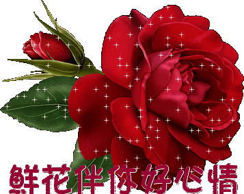 致姐妹简短一句话 给群里面的姐妹们的祝福语图片