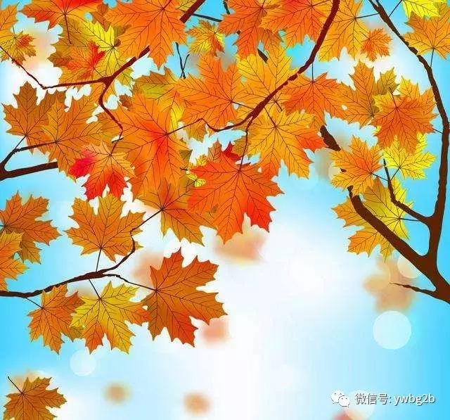 欣赏关于秋的古诗名句-第3张图片-诗句网