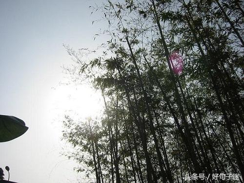 努力改变自己的句子：人不一定要生得漂亮 但却一定要活得漂亮图片