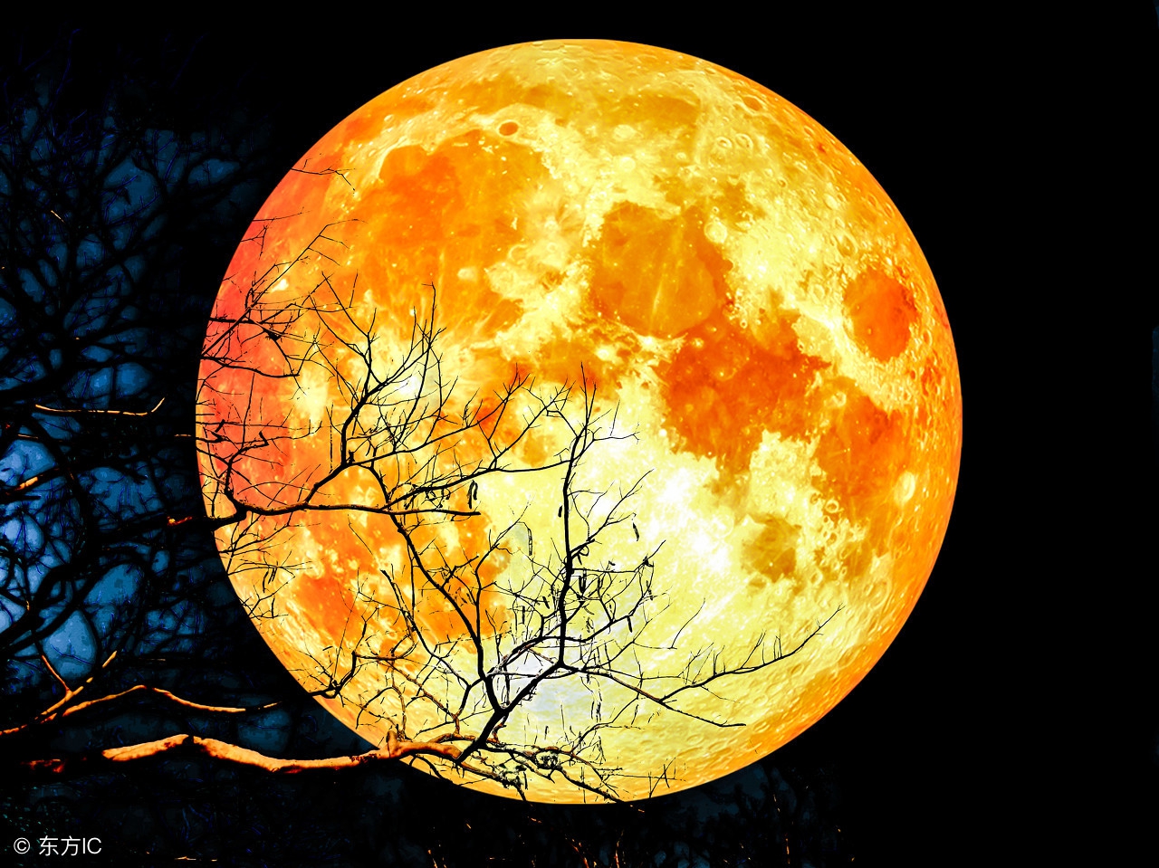 中秋到了,今年的月亮什么时候最圆呢?中秋