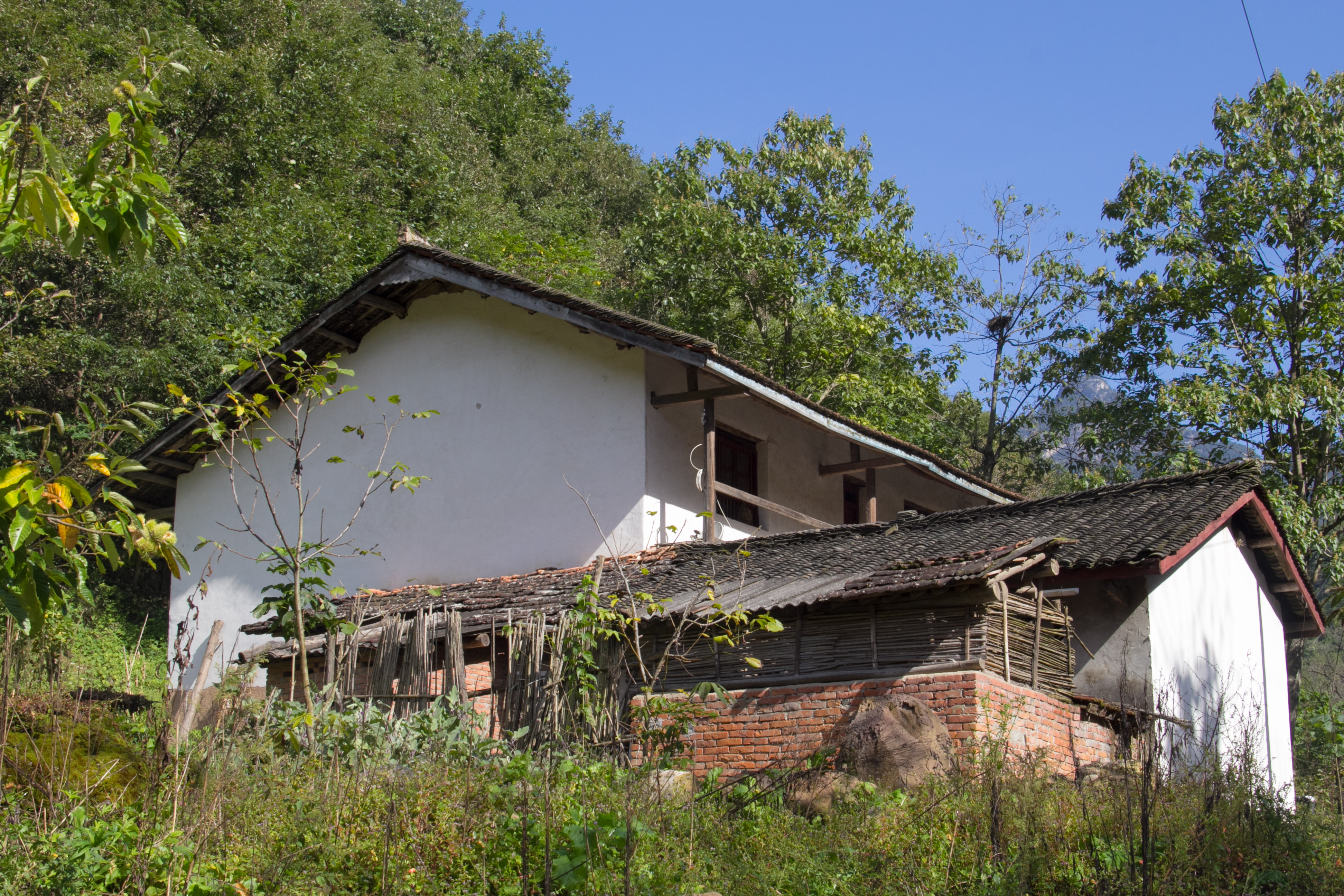 秦岭山中遇独居老人，许久没与人说话，我们问一句她回答三五句