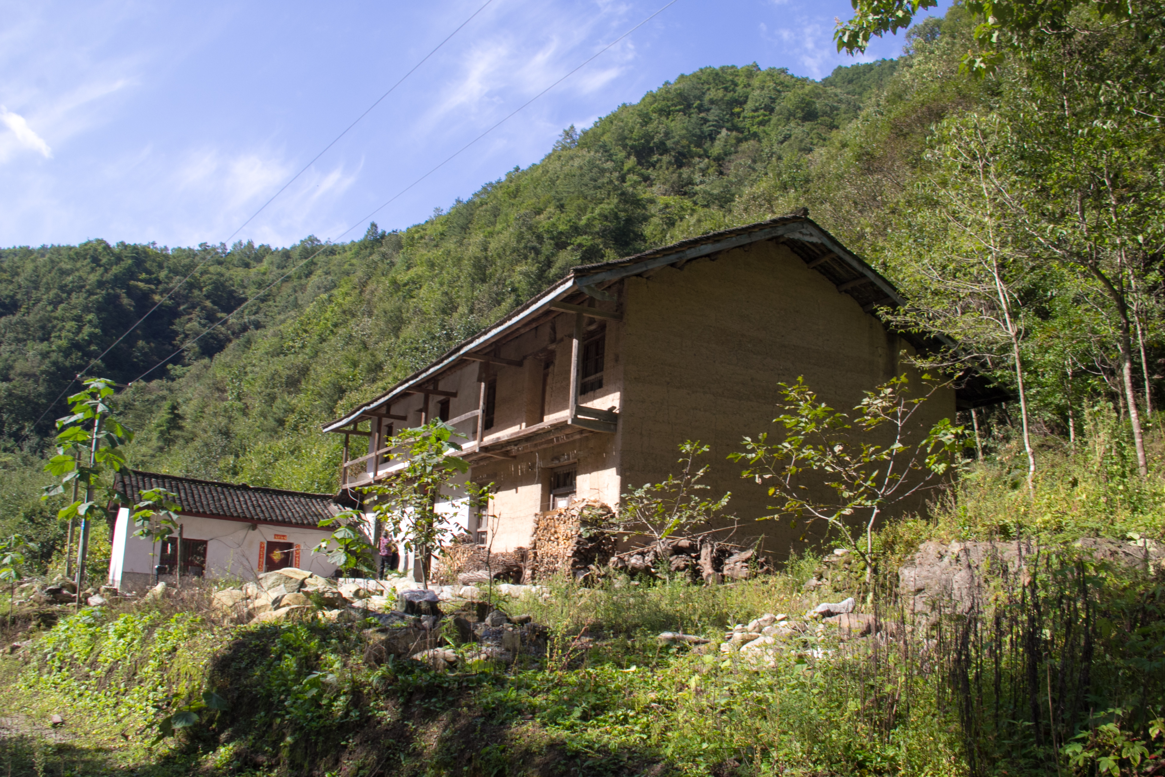 秦岭山中遇独居老人，许久没与人说话，我们问一句她回答三五句