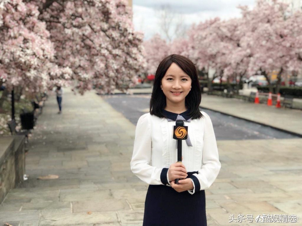 王冰汝,凤凰卫视驻华盛顿记者