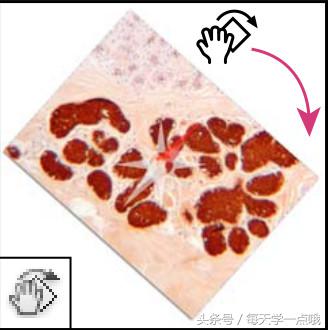 24个Photoshop工具库图解，一小时搞定P图工具！