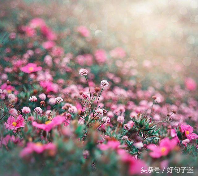 朋友圈温暖人心的唯美句子，让人一看就喜欢 打动人心的唯美短句图片