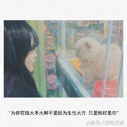 又萌又甜软的句子，浪漫至极，表白必备图片