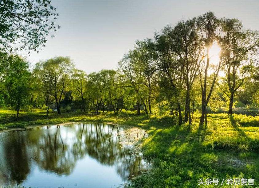 历代咏草诗词精选二十四首 恨如芳草，萋萋无数，凭栏总是销魂处-第2张图片-诗句网