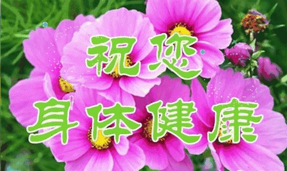 微信|2021牛年微信群发正月十三祝福简短短信 非常漂亮的动态表情图片