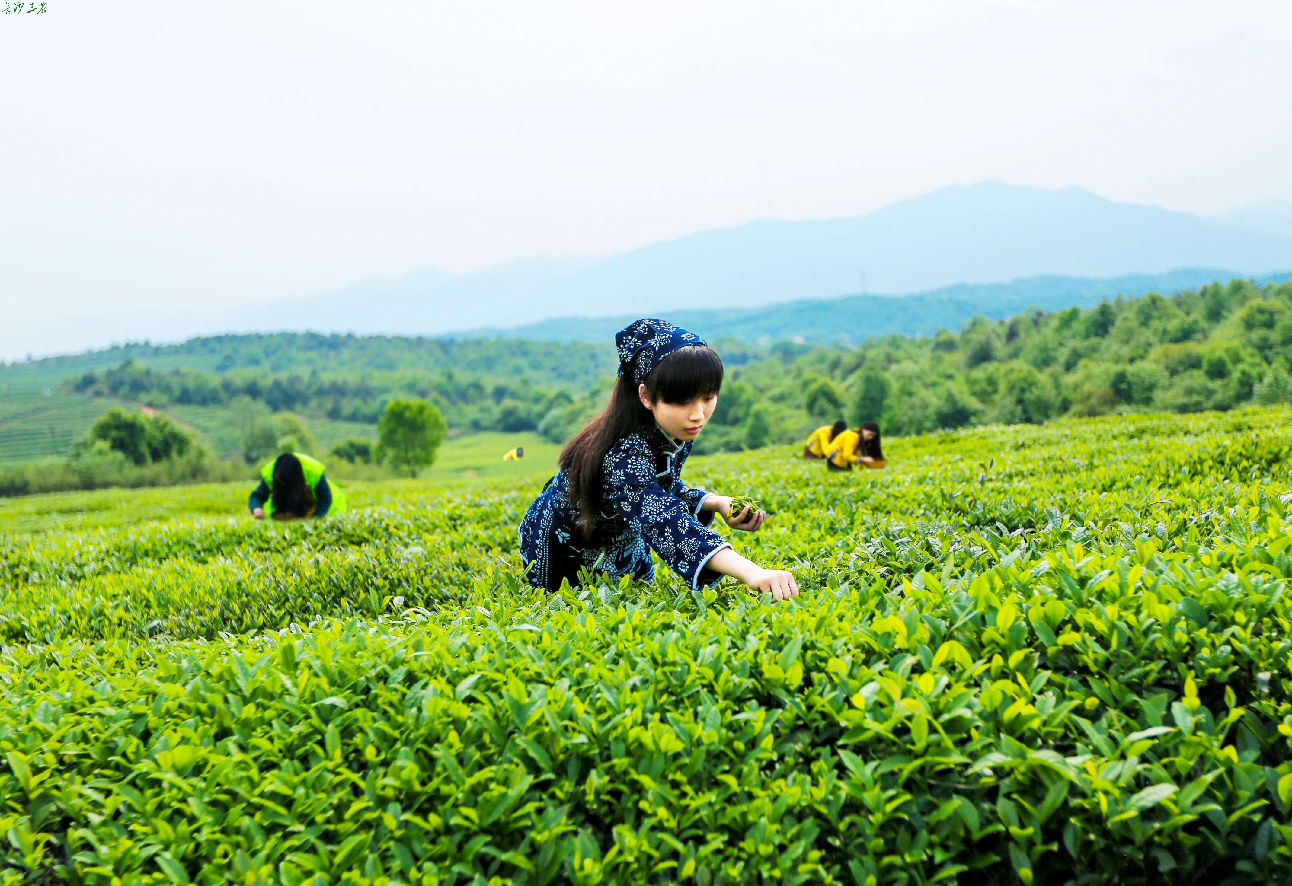 The woman goes out to earn money, does man country stay behind? 4 reason make popular feeling sour