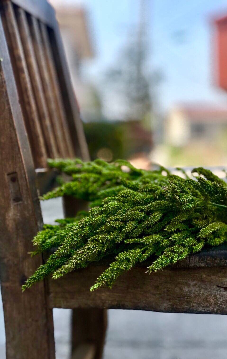 The woman goes out to earn money, does man country stay behind? 4 reason make popular feeling sour