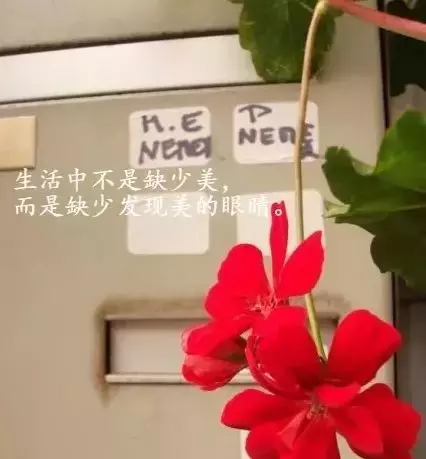 最适合发朋友圈人生感悟的经典语录 句句感悟至深