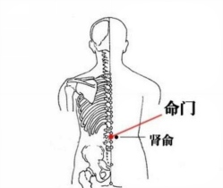 阴虚、阳虚傻傻分不清？一次教你看懂怎么补肾！