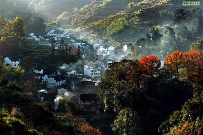 「诗词鉴赏」不负好时光—秋日乡村美景，藏在这些诗句里！