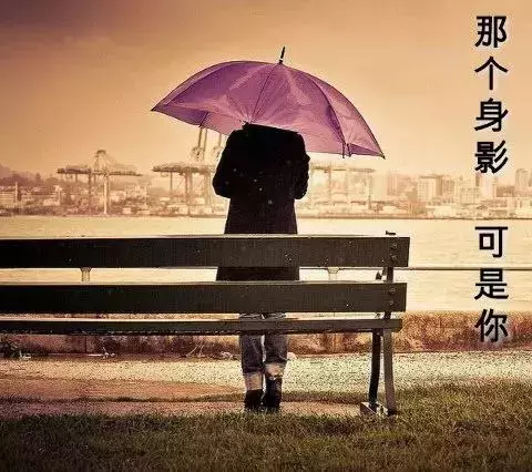 发朋友圈感悟人生的经典短语 非常走心的句子