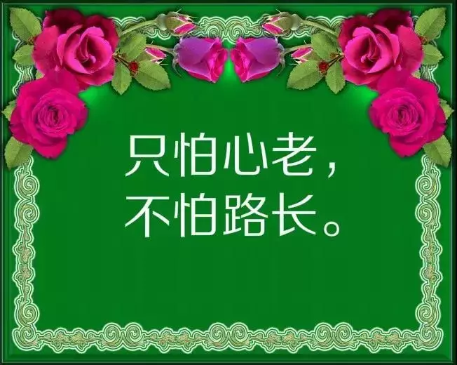 发朋友圈感悟人生的经典短语 非常走心的句子