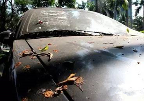 汽車最多可以停放幾天？超過這個期限不啟動，再想開就麻煩了！