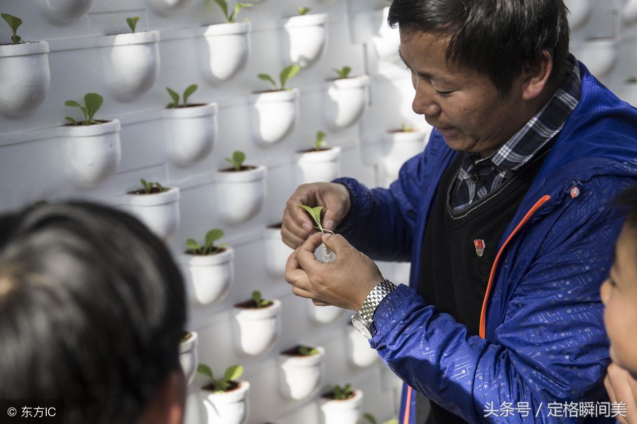 云南小学办“开心农场”养猪种菜 一年赚40万 千名学生顿顿有肉吃