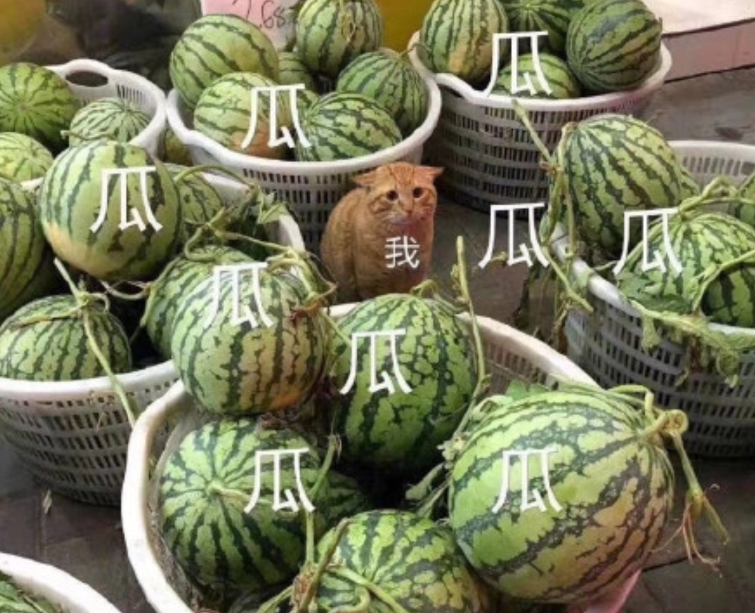 娱乐圈大瓜频出张艺兴杨紫传绯闻双方默契回应目前只想搞事业