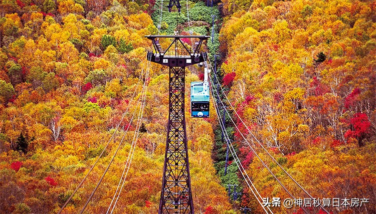 最令人期待的日本之秋，莫过于这一抹红