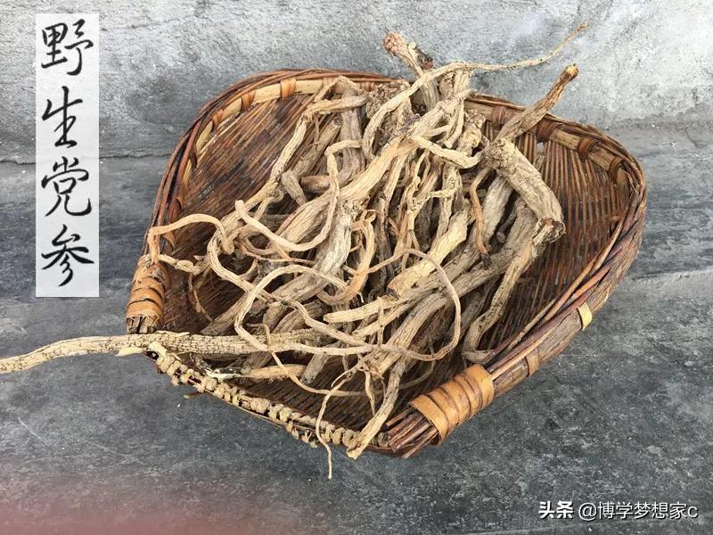 What is the function of Shengmai Drink?Which is better, party counselor