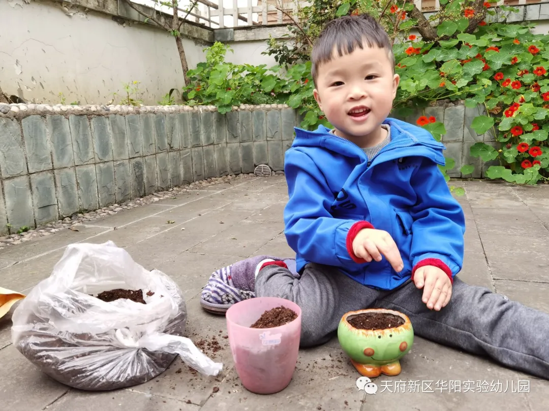 苏醒的种子 萌动的春天丨天府新区华阳实验幼儿园植物育成记