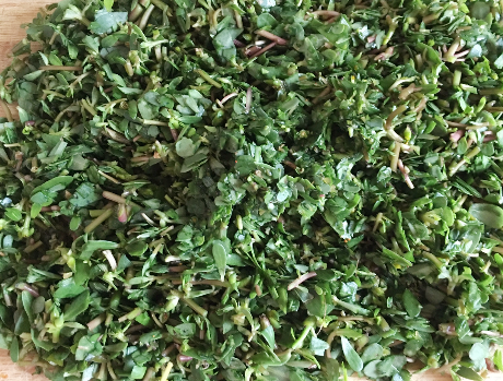 图片[3]-8月底我一买就是10斤的野菜晒干了储存冬天烙馅饼吃最香-起舞食谱网