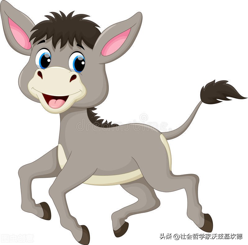一頭倔強的驢,生來就是固執的脾氣 - 資訊咖