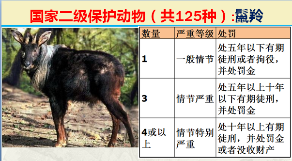 国家最新125类二级野生保护名录，图片及违法对应刑责