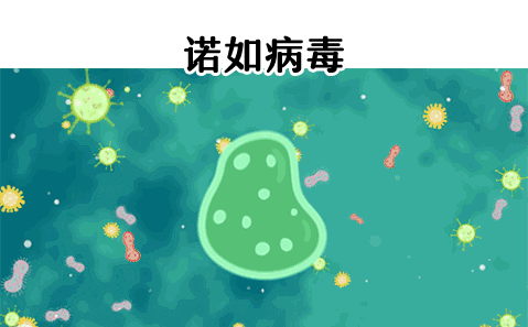 哈尔滨16名学生病毒感染！家有学生的要注意了，诺如病毒来袭