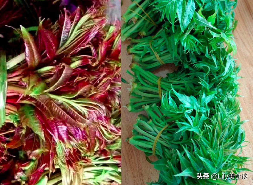 图片[3]-香椿“红叶”和“绿叶”区别 的 弄懂不出-起舞食谱网