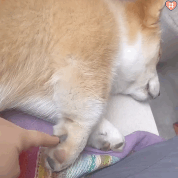 抖音表情包：背景图，热图