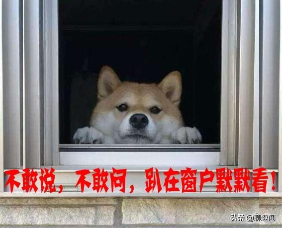 聊趣闻：沈腾、贾玲、宋小宝、王宁、艾伦，哪