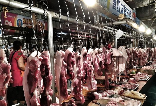 惊！猪肉价连降有望回到十元时代？
