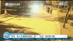 女子报警有人称交通肇事逃逸？民警：“元凶”是窜出来的野猫