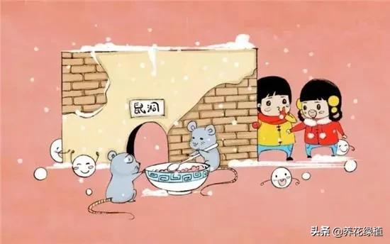 看有|元宵节到了 看看有哪些传统习俗寓意美好祈福纳祥