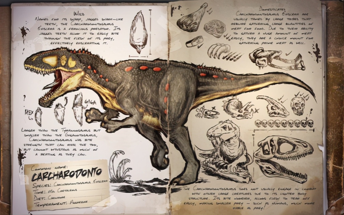 喜欢和棘背龙互殴 方舟生存进化 鲨齿龙脱离水域战力减半 头条汇