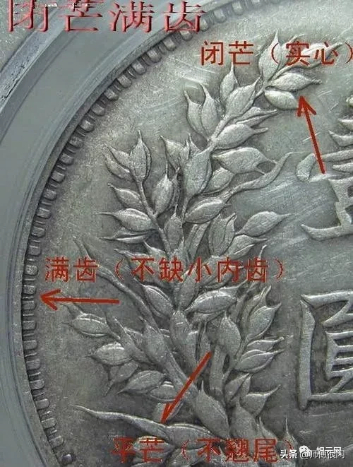 三年小嘉禾版又称三年九背