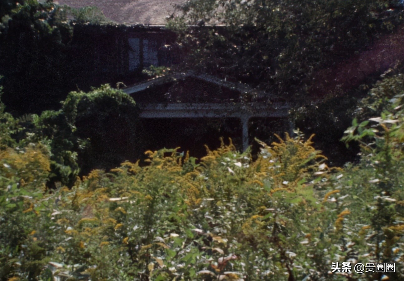 杰奎琳的美貌姑姑 嫁富豪惨遭背叛 与女儿在破落豪宅孤独终老 贵圈圈 Mdeditor