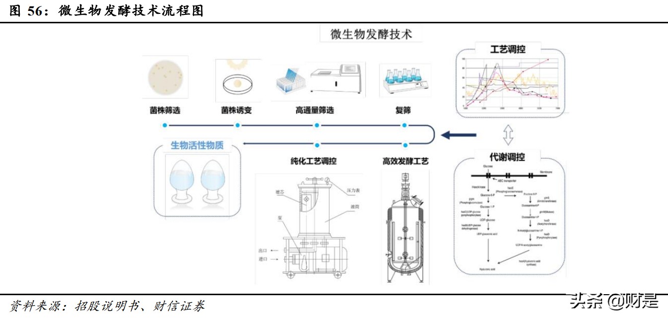 华熙生物深度解析：华匠运技乘风起，熙朝凝肤玉肌成