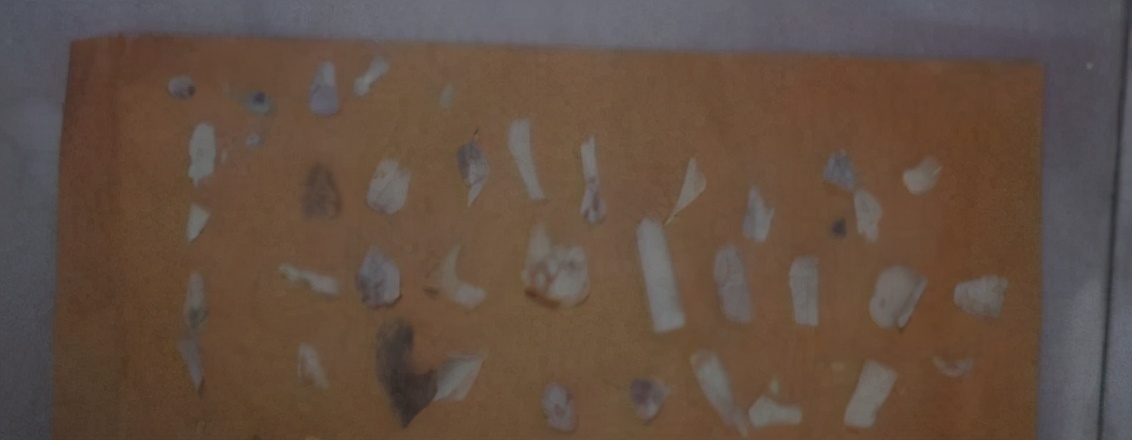 大案纪实：女大学生误乘黑摩的惨遭奸杀碎尸烹煮 犯罪分子满口胡言百般抵赖