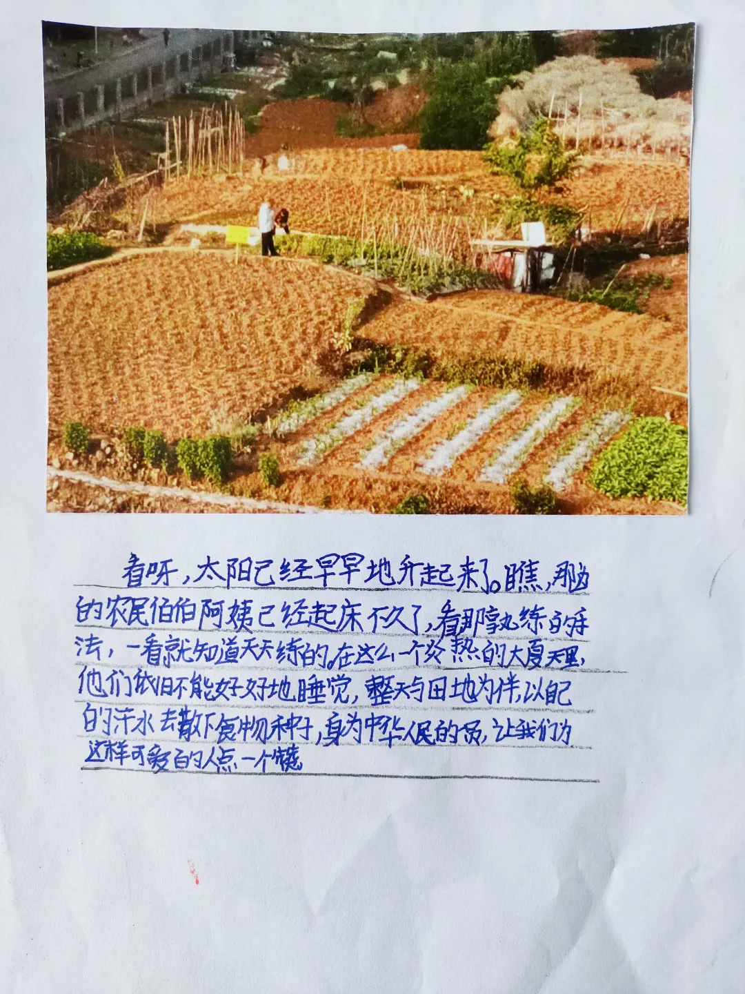 成都市双流区公兴小学开展“红领巾爱劳动”主题活动