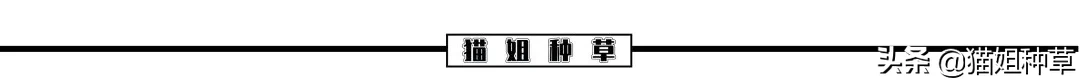 3CE的淘宝旗舰店，居然是假的