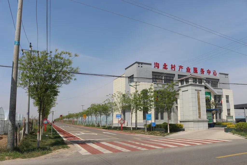 合阳县以深化改革为突破拓宽乡村振兴之路