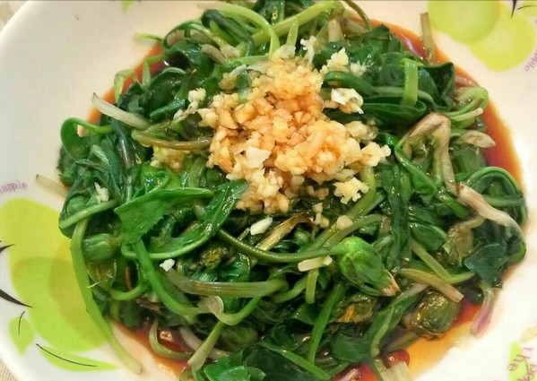 春分吃芽，5種�春芽�可多吃，2種�毒芽�不能吃，健康最重要