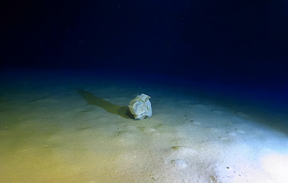 垃圾海 海底垃圾填埋场 头条汇