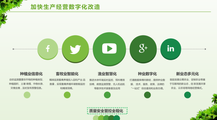 数字乡村治理体系信息化建设方案，附下载