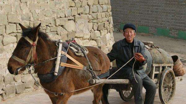 靠掏粪，他在北京买100多套房，1500亩良田，却因太嚣张被枪决