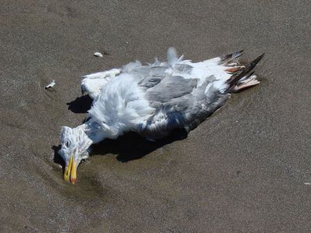 十八年后还是一条好汉,大家对于死亡有什么看法?