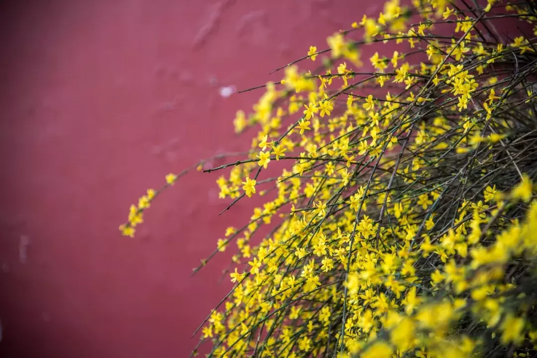 春季郊野，万木吐翠，芳草茵茵，藏在诗词里的春意-第1张图片-诗句网