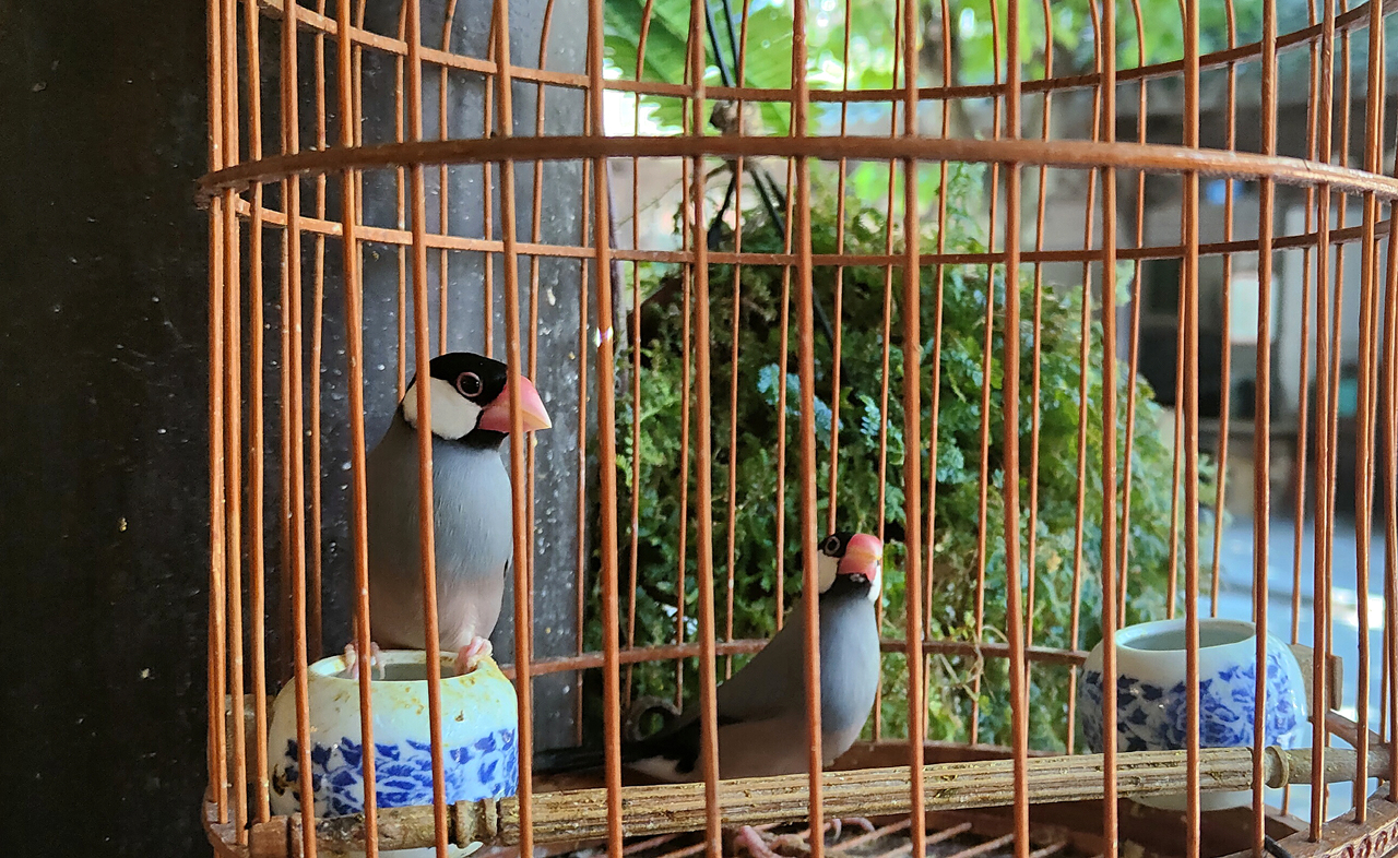 夏日里海风相伴，OPPO Reno5 Pro+记录厦门印象